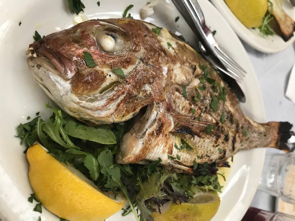 Jim’s Greek Tavern Full Menu, Reviews, Photos